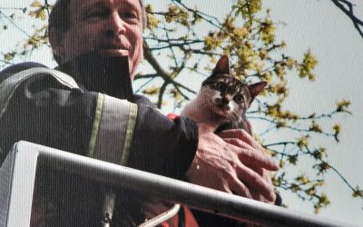 De kokende brandweerman