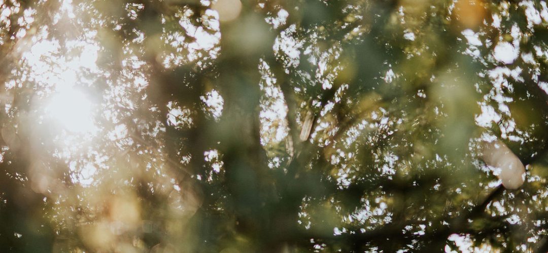 Het verhaal van een loopbaancliënte