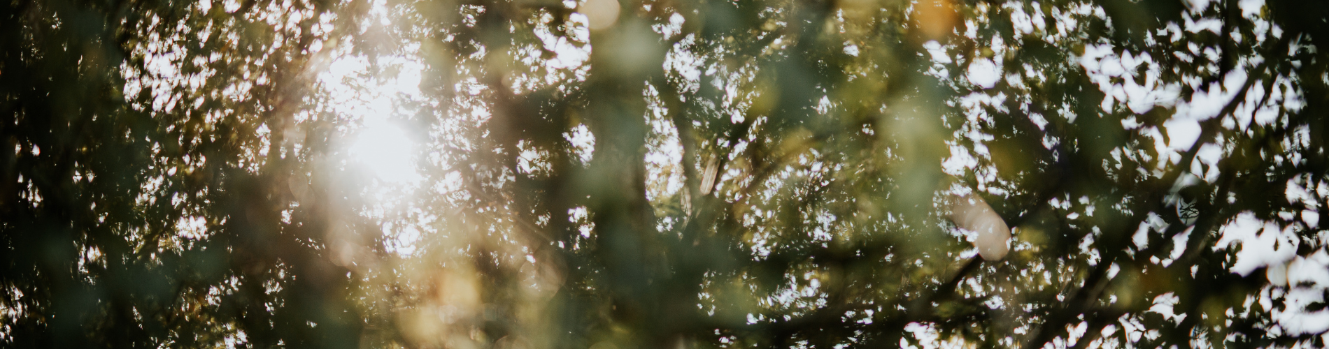 Loopbaancoach Breda biedt coaching, outplacement en energetisch werk