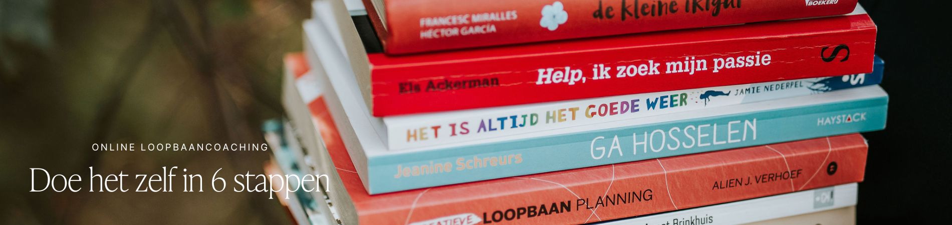 Online programma Loopbaancoaching - doe het zelf in 6 stappen